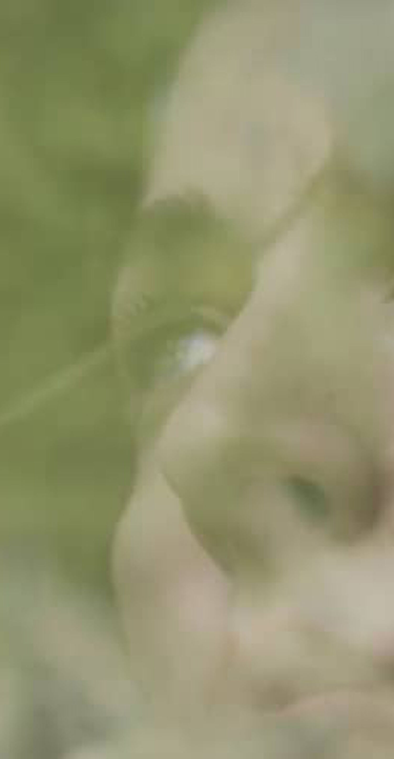 Caroline Polachek - I have a real love