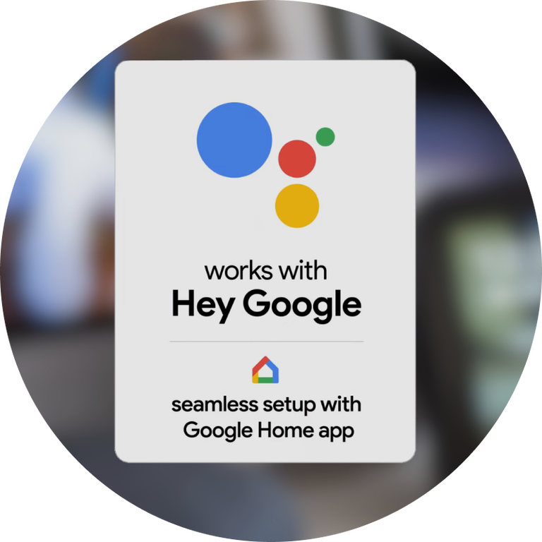 Google Assistant - Setup is quick and easy