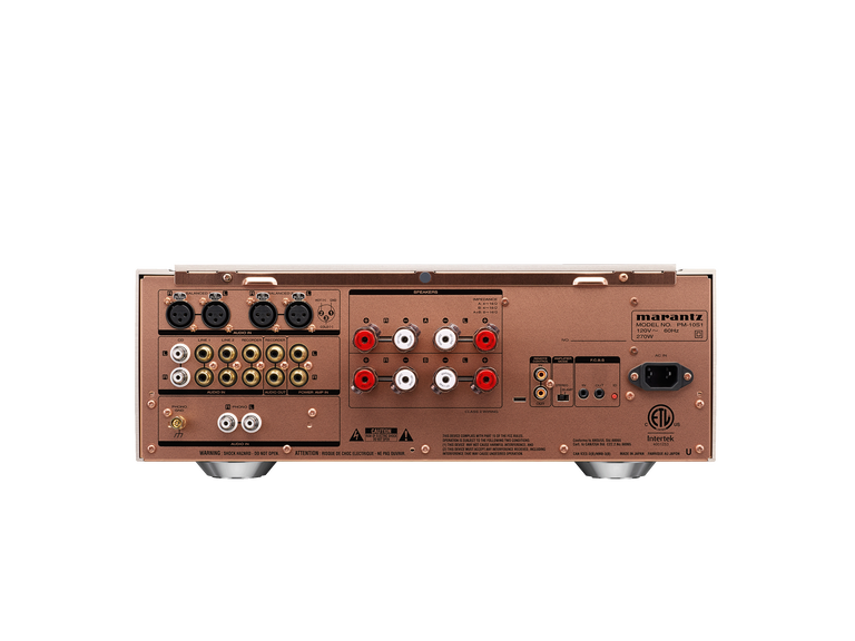 PM10 - Silver gold back view