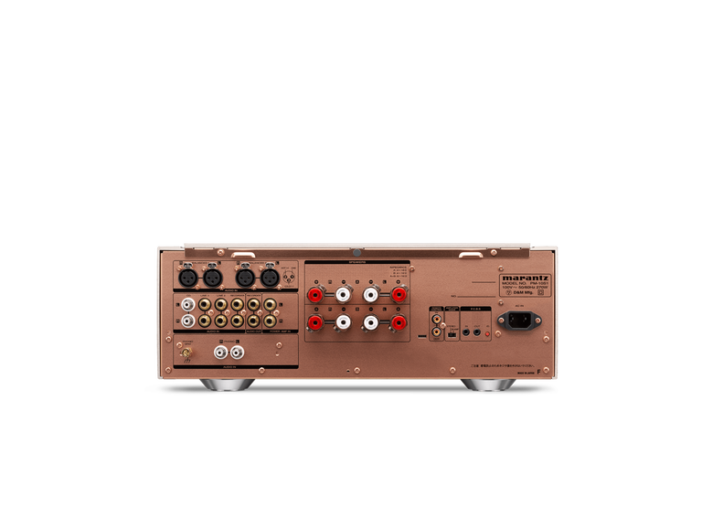 PM-10, ゴールド, dynamic